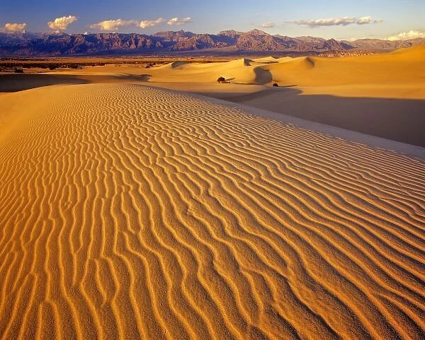 Mesquite Flat Sand dunes in Death Valley National Park in California