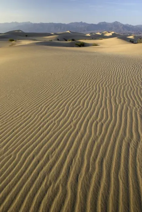 Framed Print : Mesquite Flats Sand Dunes, Death Valley National Park, California, US Framed Print : Mesquite Flats Sand Dunes, Death Valley National Park, California, US
