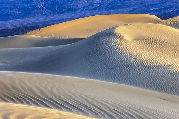 Mesquite Sand Dunes. Death Valley. California
