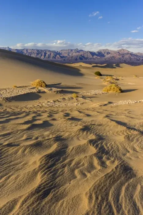 Framed Print : The Mesquite sand dunes in Death Valley National Park, California, USA Framed Print : The Mesquite sand dunes in Death Valley National Park, California, USA