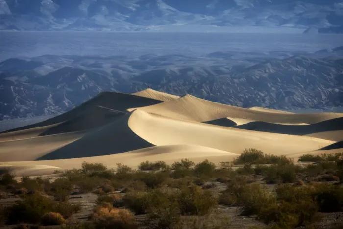 Framed Print : Mesquite Sand Dunes with Grapevine Mountains in the Background. Death Valley. California Framed Print : Mesquite Sand Dunes with Grapevine Mountains in the Background. Death Valley. California