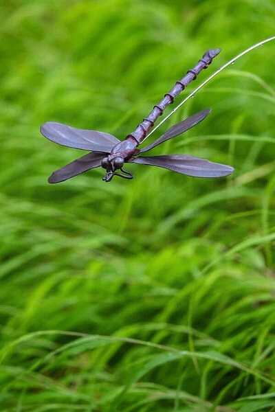 Metal dragonfly garden ornament