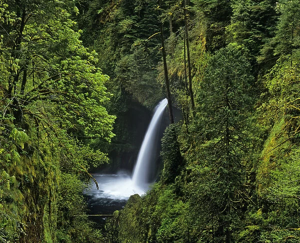 Metlako Falls along Eagle Creek in the Mount Hood National forest, Oregon, USA