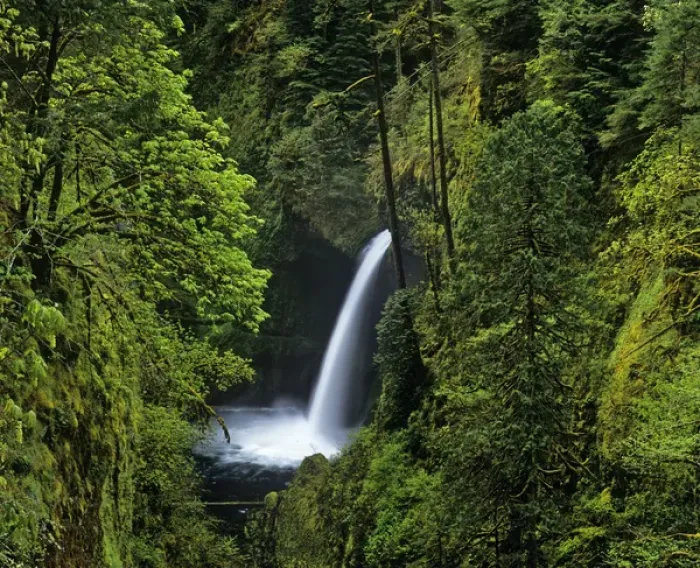 Framed Print : Metlako Falls along Eagle Creek in the Mount Hood National forest, Oregon, USA Framed Print : Metlako Falls along Eagle Creek in the Mount Hood National forest, Oregon, USA