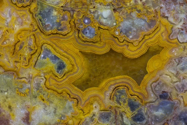 Mexican Yellow Crazy Lace Agate