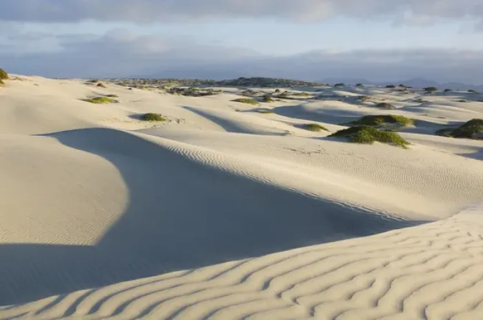 Framed Print : Mexico, Baja California, Isla Magdalena, Magdalena Bay, Sand Dunes