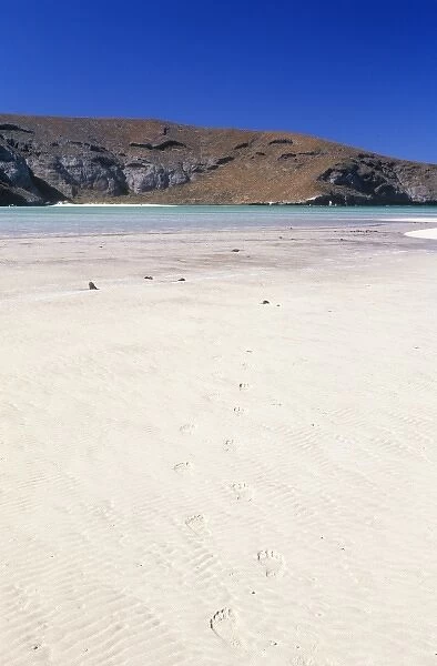 Mexico, Baja California Sur, La Paz, Playa Balandra, Footprints on Beach