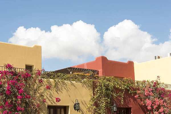 Mexico, Baja California Sur, Loreto Bay. Golf Resort and Spa buildings with bouganveillia
