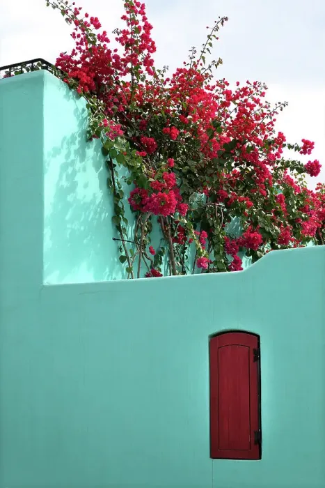 Framed Print : Mexico, Baja California Sur. Loreto Bay, colorful home and climbing azalea