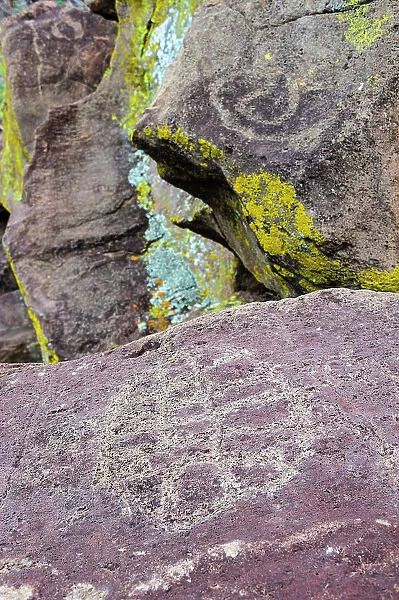 Mexico, Baja California Sur, Sierra de San Francisco. Petroglyphs at the remote spring, La Higuerita