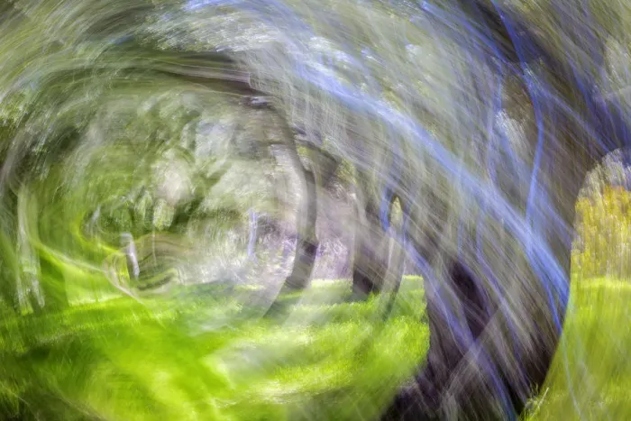 Framed Print : Mexico, Baja California, Tecate. Motion blur of Rancho La Puerta scene. Credit as Framed Print : Mexico, Baja California, Tecate. Motion blur of Rancho La Puerta scene. Credit as