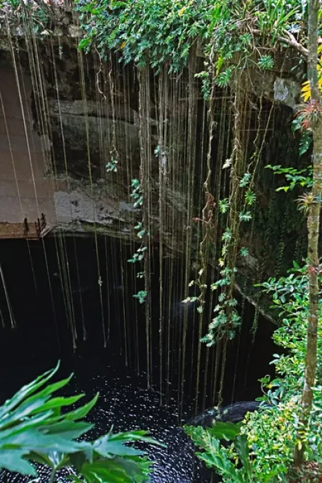 Framed Print : Mexico, Into the Cenote, east of Chichen Itza, where Mayans made human sacrifices