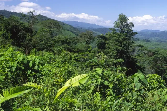 Framed Print : 06. Mexico, Chiapas, Palenque. Mixed landscape of deforested farm sections and jungle