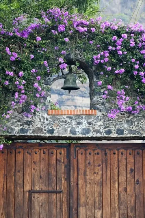 Framed Print : Mexico. Close-up of wooden door and bell Framed Print : Mexico. Close-up of wooden door and bell