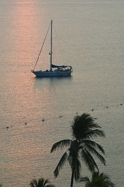 Mexico, Colima, Manzanillo. Manzanillo Bay  /  Sailboat at Sunrise