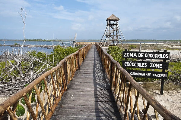Mexico, Cozumel. Crocodile lagoon in Punta Sur Park, Isla de Cozumel (Cozumel Island)