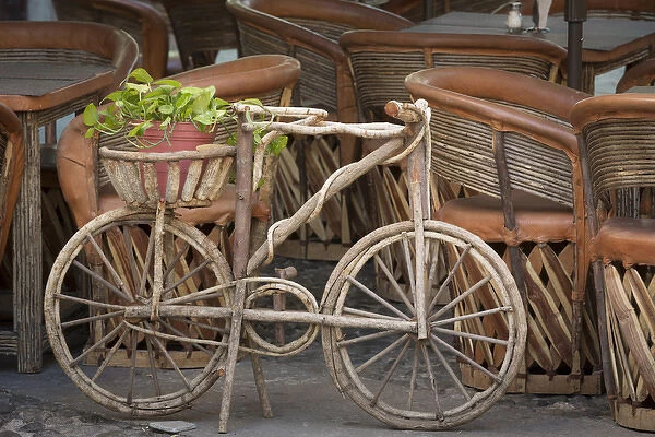 Mexico, Guanajuato. Wooden bicycle with potted plant