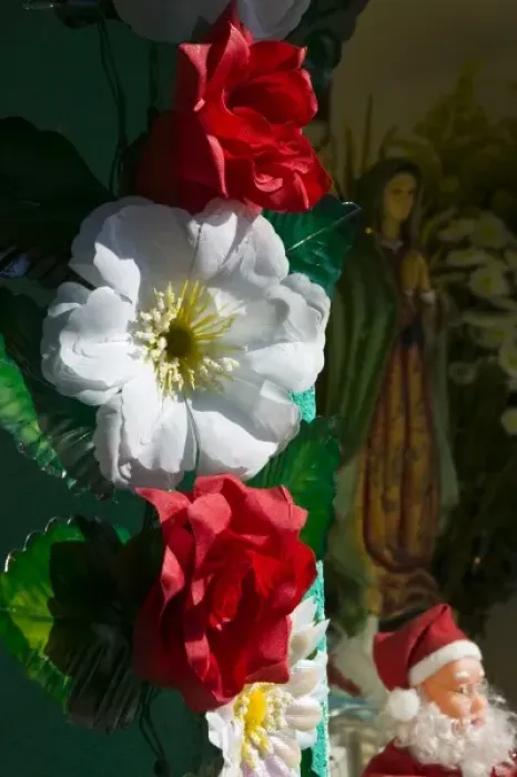 Framed Print : Mexico, Guerrero, Barra de Potosi. Flowers and Virgin of Guadalupe statue Framed Print : Mexico, Guerrero, Barra de Potosi. Flowers and Virgin of Guadalupe statue