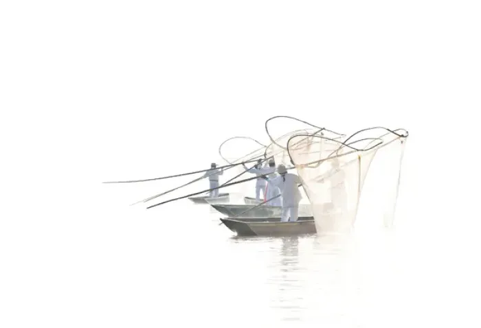 Framed Print : Mexico, Lake Pazcuaro. Butterly fisherman casting nets Framed Print : Mexico, Lake Pazcuaro. Butterly fisherman casting nets