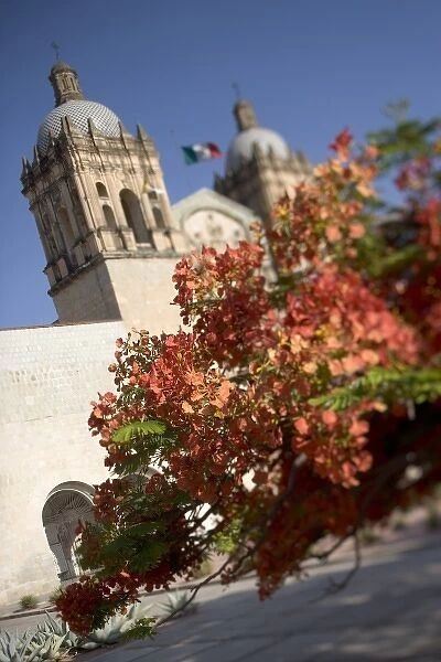 Mexico, Oaxaca, Setting sun lights flame trees and the Templo Santo Domingo at Cathedral