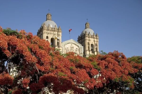 Mexico, Oaxaca, Setting sun lights flame trees and the Templo Santo Domingo at Cathedral