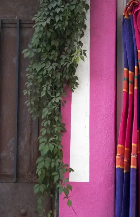 Framed Print : Mexico, Puerto Vallarta. Serape hanging next to colorful wall and hanging plant Framed Print : Mexico, Puerto Vallarta. Serape hanging next to colorful wall and hanging plant