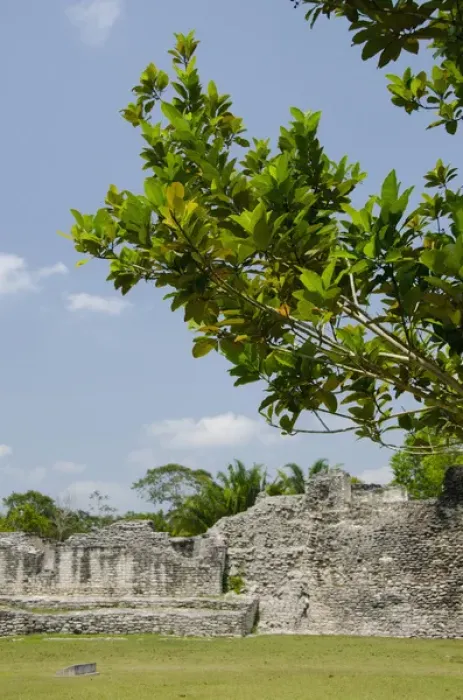 Framed Print : Mexico, Quintana Roo, Yucatan Peninsula near Costa Maya. Kohunlich Mayan Ruins Framed Print : Mexico, Quintana Roo, Yucatan Peninsula near Costa Maya. Kohunlich Mayan Ruins
