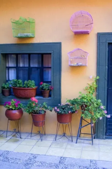 Framed Print : Mexico, San Miguel de Allende, Bird cages and pots of geraniums in courtyard Framed Print : Mexico, San Miguel de Allende, Bird cages and pots of geraniums in courtyard