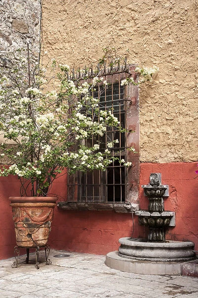 Mexico, San Miguel de Allende, Courtyard in San Miguel de Allende