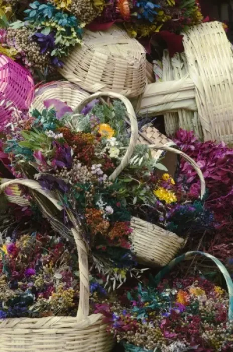 Framed Print : Mexico, San Miguel de Allende, The Jardin, Plaza Principal, Dried Flowers at Outdoor Market