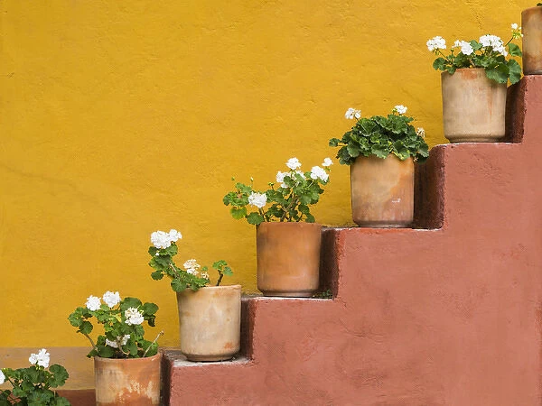 Mexico, San Miguel de Allende. Potted flowers on staircase