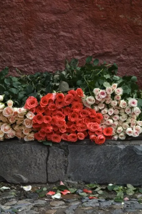 Framed Print : Mexico, San Miguel de Allende, Roses for sale on street