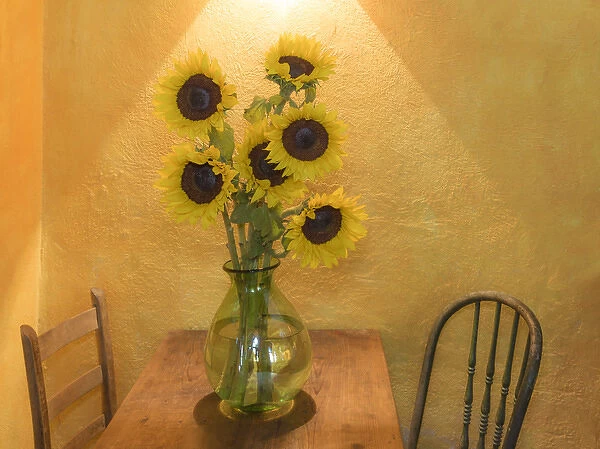 Mexico, San Miguel de Allende. Sunflowers in vase on table