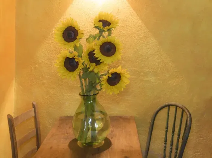 Framed Print : Mexico, San Miguel de Allende. Sunflowers in vase on table Framed Print : Mexico, San Miguel de Allende. Sunflowers in vase on table