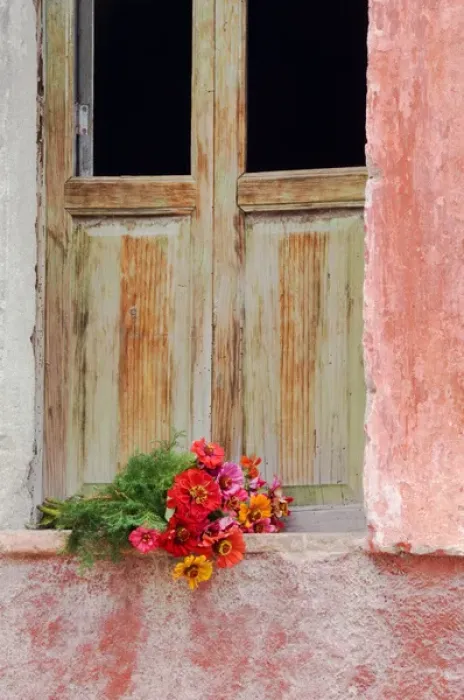 Framed Print : Mexico, San Miguel de Allende. Zinnias outside window frame