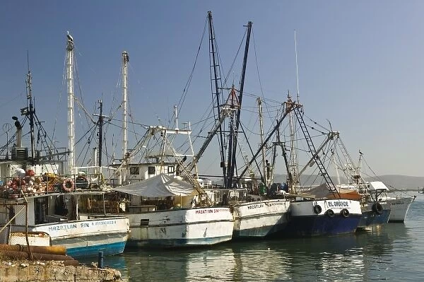 Mexico, Sinaloa State, Mazatlan. Mazatlan Fishing Port- Fishing Fleet