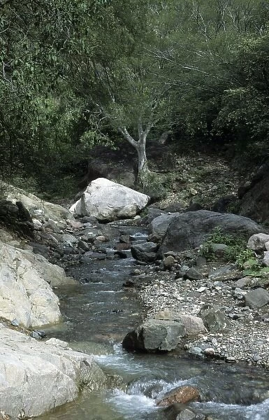 Mexico, stream in Copper Canyon