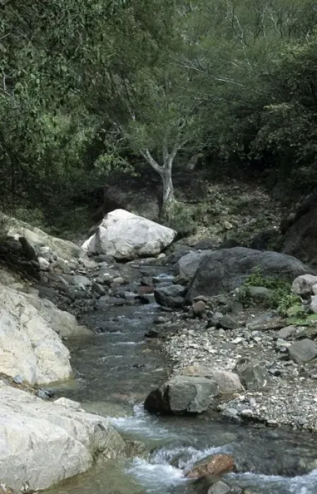 Framed Print : Mexico, stream in Copper Canyon Framed Print : Mexico, stream in Copper Canyon