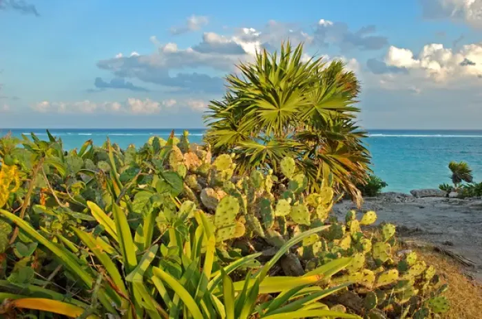 Framed Print : 06. Mexico, Tulum, View of Caribbean Sea from cliffs Framed Print : 06. Mexico, Tulum, View of Caribbean Sea from cliffs