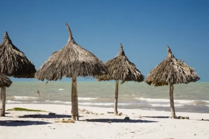 Framed Print : Mexico, Yucatan Peninsula, Progreso. Thatch palapa made from Mexican palm leaves Framed Print : Mexico, Yucatan Peninsula, Progreso. Thatch palapa made from Mexican palm leaves