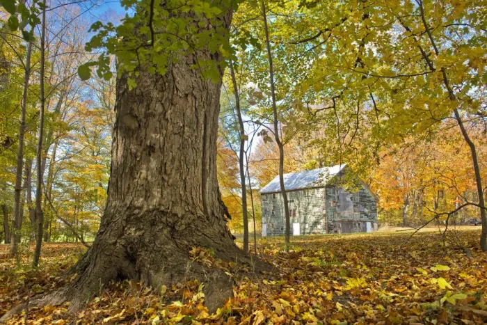 Framed Print : Michigan Barn in autumn