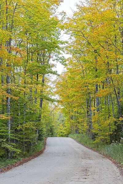 Michigan, Pictured Rocks National Lakeshore, road to Miners Falls with trees in fall