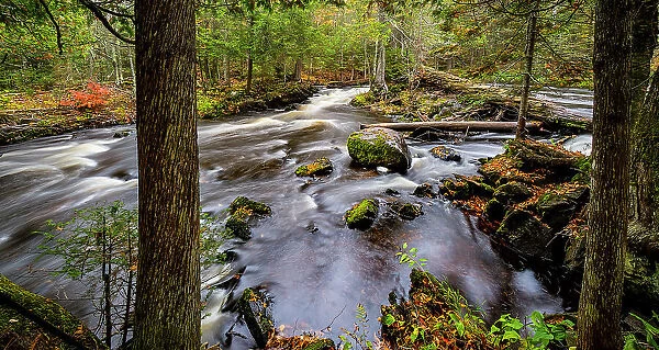 Michigan, Upper Peninsula, fall, autumn, stream