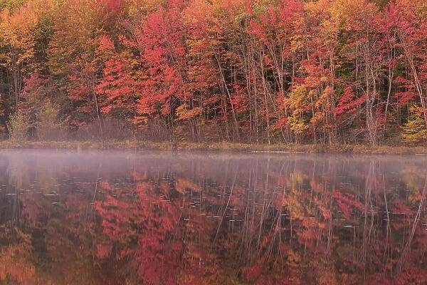 Michigan, Upper Peninsula, Hiawatha National Forest, Fall colors reflected in a lake