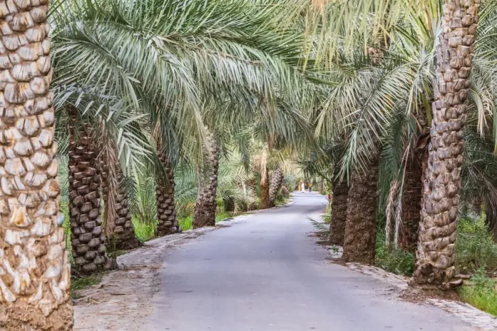 Framed Print : Middle East, Arabian Peninsula, Oman, Ad Dakhiliyah, Nizwa Framed Print : Middle East, Arabian Peninsula, Oman, Ad Dakhiliyah, Nizwa