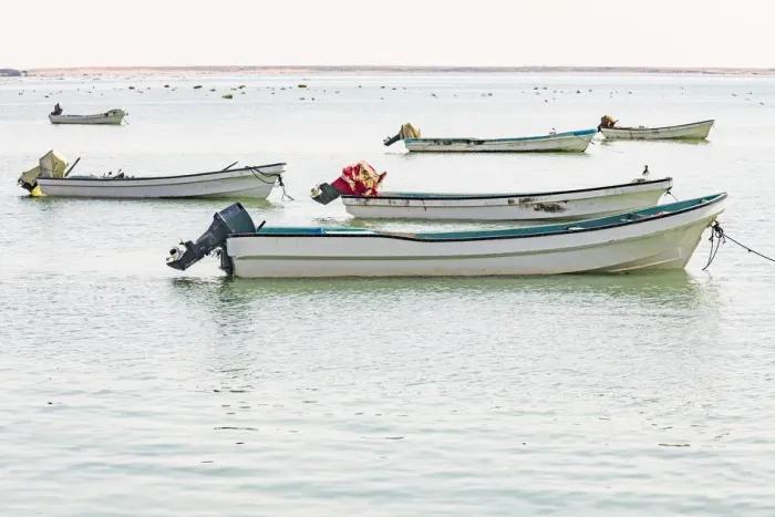 Framed Print : Middle East, Arabian Peninsula, Al Wusta, Mahout. Fishing boats on the Arabian Sea in Framed Print : Middle East, Arabian Peninsula, Al Wusta, Mahout. Fishing boats on the Arabian Sea in