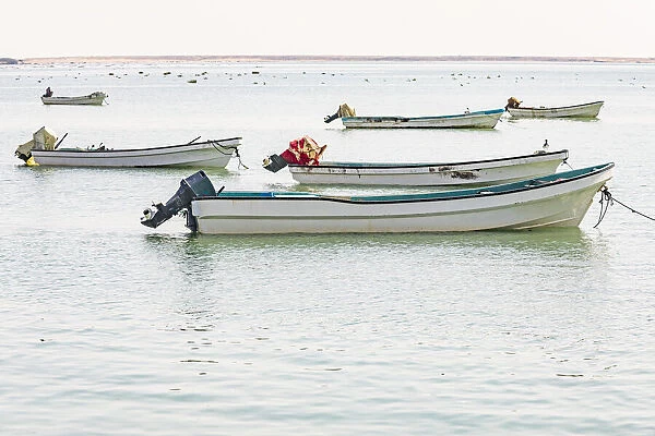 Middle East, Arabian Peninsula, Al Wusta, Mahout. Fishing boats on the Arabian Sea in