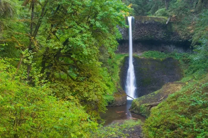 Framed Print : Middle falls Silver Falls State Park east of Salem Oregon Framed Print : Middle falls Silver Falls State Park east of Salem Oregon