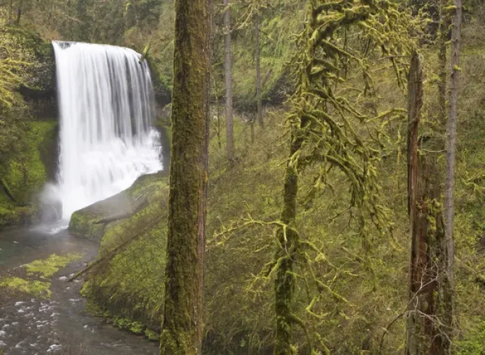 Framed Print : Middle Falls, Silver Falls State Park, Oregon Framed Print : Middle Falls, Silver Falls State Park, Oregon