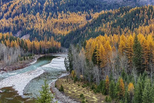 Middle Fork of the Flathead River in autumn in Glacier National Park, Montana, USA